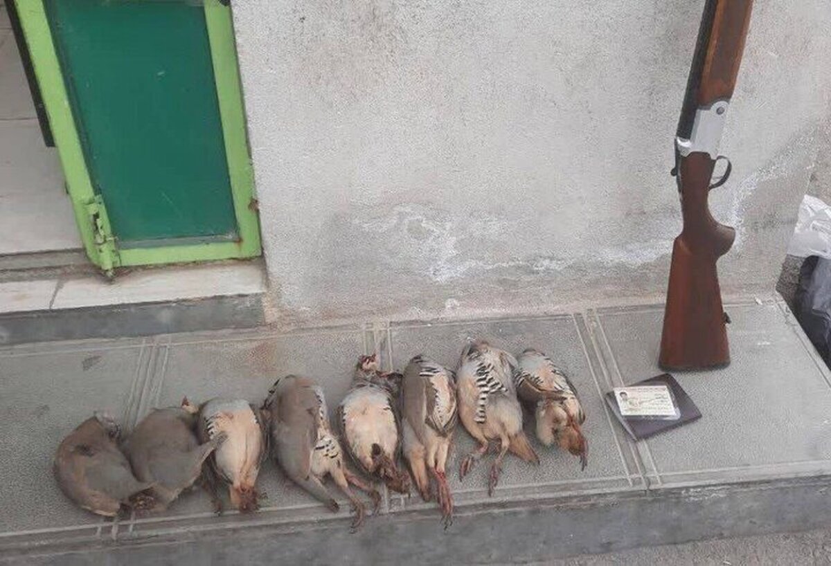 دستگیری ۲ شکارچی غیرمجاز کبک در بیجار