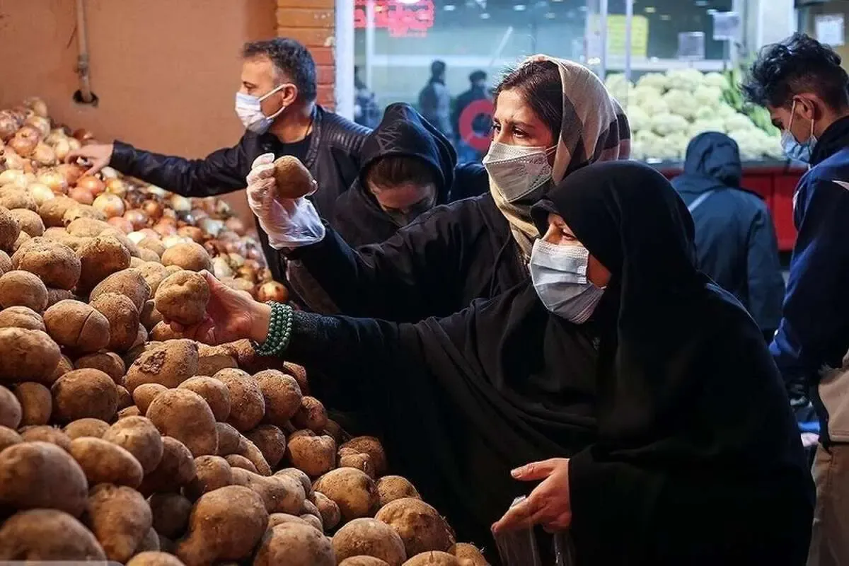 صادرات سیب‌زمینی ممنوع شد